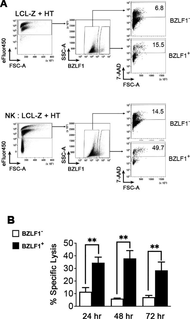https://cdn.ncbi.nlm.nih.gov/pmc/blobs/c0e1/11638013/821c28dd44ca/fimmu-15-1467304-g003.jpg