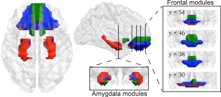 https://cdn.ncbi.nlm.nih.gov/pmc/blobs/c0e2/4939699/99178d0a10df/aww100fig1g.jpg