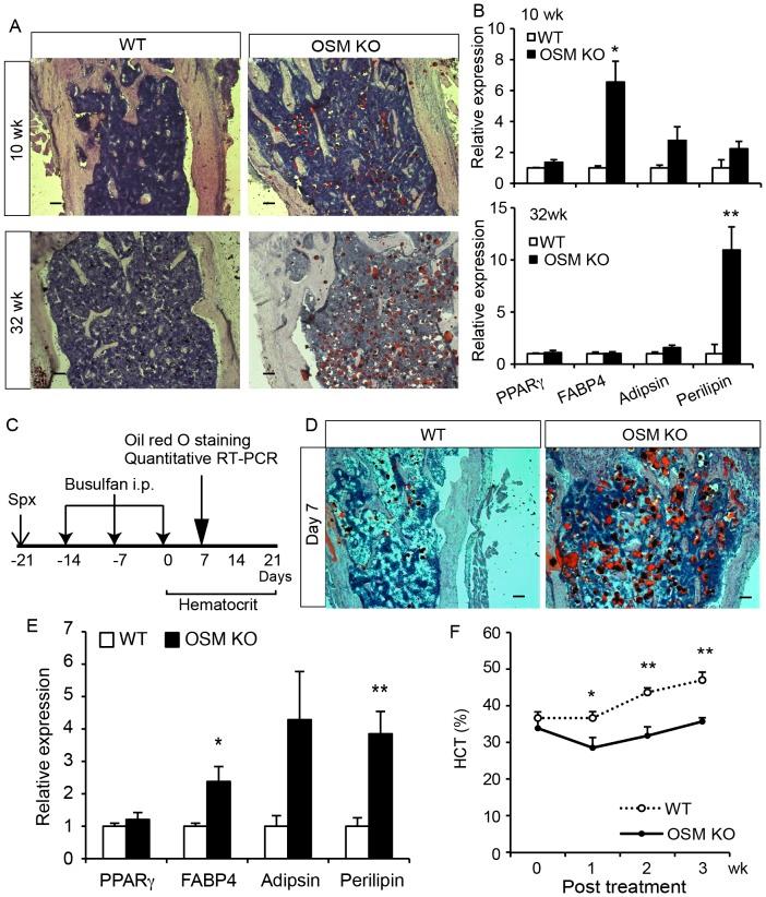 https://cdn.ncbi.nlm.nih.gov/pmc/blobs/c0e3/4281151/274cbb64202b/pone.0116209.g002.jpg
