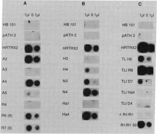 https://cdn.ncbi.nlm.nih.gov/pmc/blobs/c0e7/287073/a1b34edf137c/pnas00249-0124-a.jpg