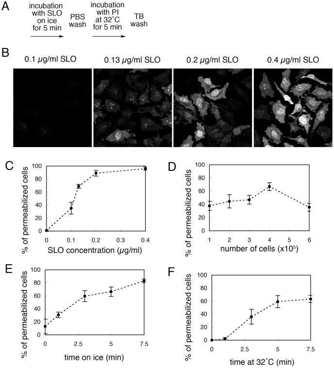 https://cdn.ncbi.nlm.nih.gov/pmc/blobs/c0e8/3430665/c4550a7f3b41/pone.0044127.g001.jpg
