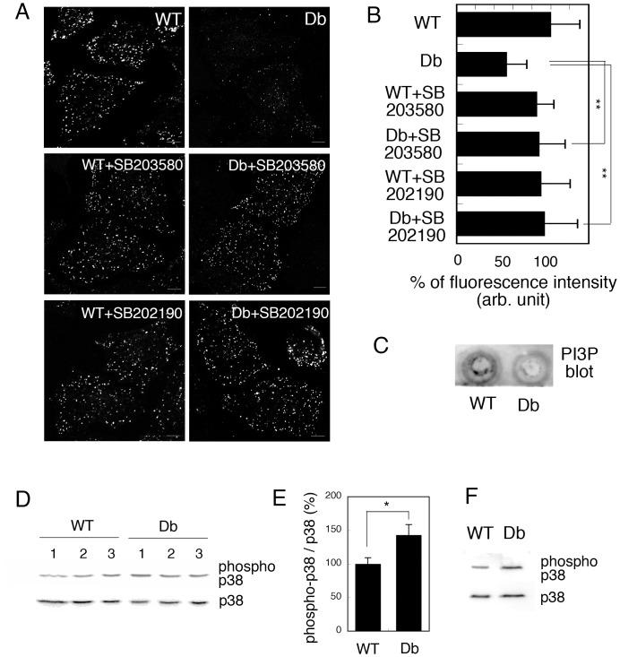 https://cdn.ncbi.nlm.nih.gov/pmc/blobs/c0e8/3430665/e7a2d34af953/pone.0044127.g005.jpg