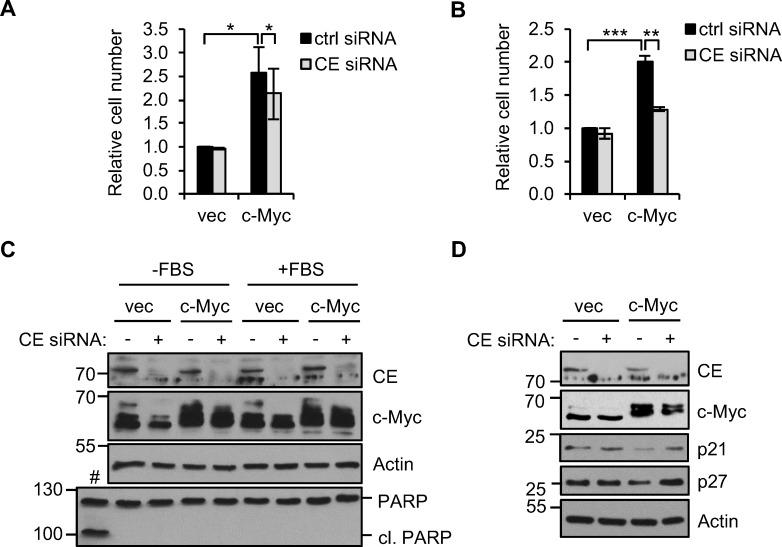 https://cdn.ncbi.nlm.nih.gov/pmc/blobs/c0ea/5347691/7b997e762797/oncotarget-07-82273-g007.jpg