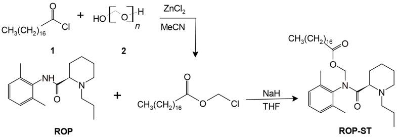https://cdn.ncbi.nlm.nih.gov/pmc/blobs/c0eb/11768344/b87a261d18a1/pharmaceutics-17-00037-g002.jpg
