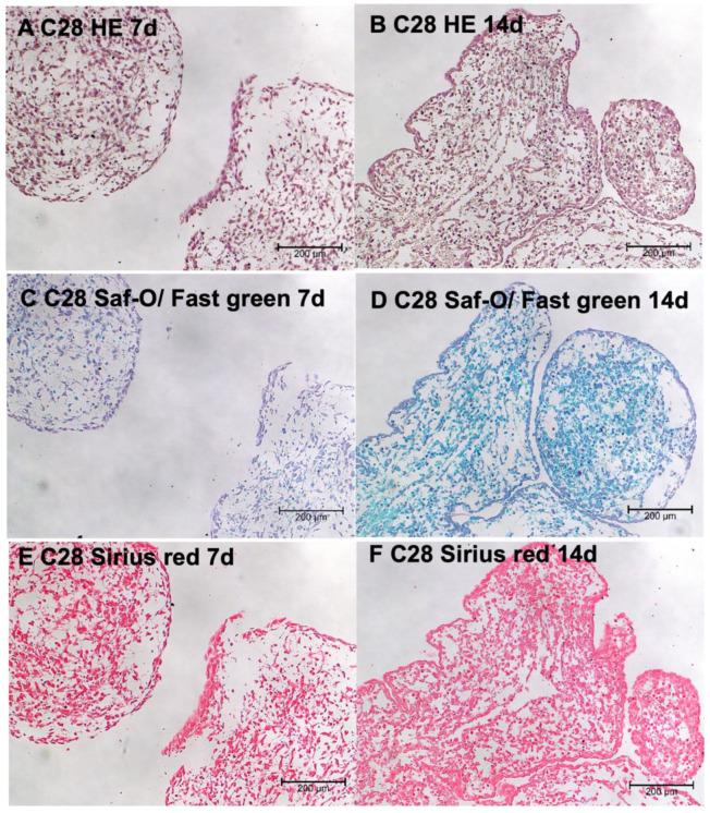 https://cdn.ncbi.nlm.nih.gov/pmc/blobs/c0ec/10813504/84979c7f519d/biomolecules-14-00025-g002.jpg