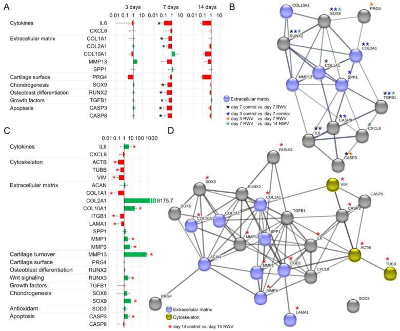 https://cdn.ncbi.nlm.nih.gov/pmc/blobs/c0ec/10813504/e9d0864bb138/biomolecules-14-00025-g007.jpg