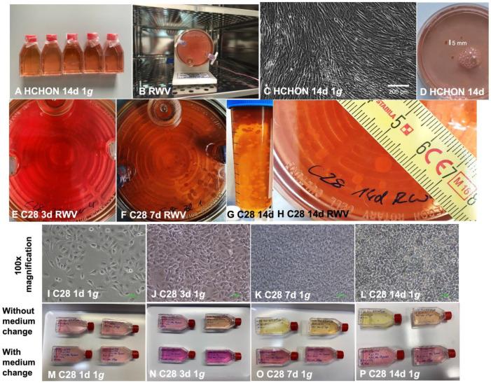 https://cdn.ncbi.nlm.nih.gov/pmc/blobs/c0ec/10813504/ec30c2e80199/biomolecules-14-00025-g001.jpg