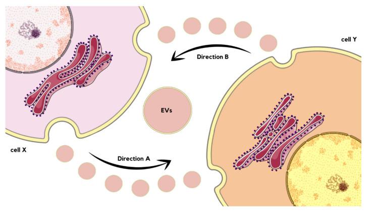 https://cdn.ncbi.nlm.nih.gov/pmc/blobs/c0ec/10935043/b8afcd889244/molecules-29-00948-g005.jpg