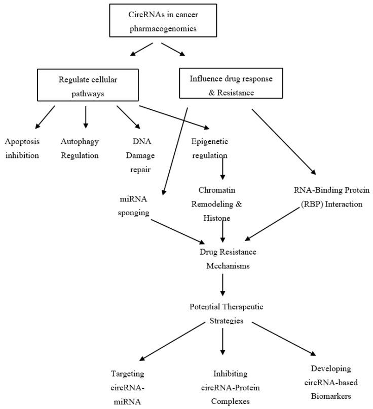 https://cdn.ncbi.nlm.nih.gov/pmc/blobs/c0ed/12024797/0443f869f533/biomolecules-15-00535-g002.jpg