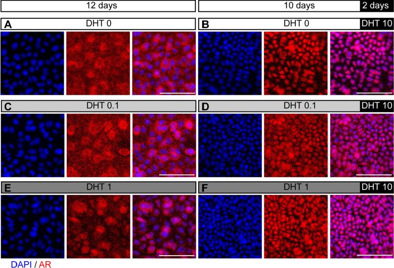 https://cdn.ncbi.nlm.nih.gov/pmc/blobs/c0ed/9284701/dea72ddfa34d/13287_2022_2978_Fig6_HTML.jpg