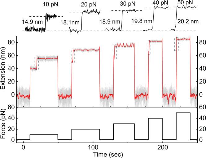 https://cdn.ncbi.nlm.nih.gov/pmc/blobs/c0ed/9814876/9e970f250376/42004_2021_592_Fig3_HTML.jpg