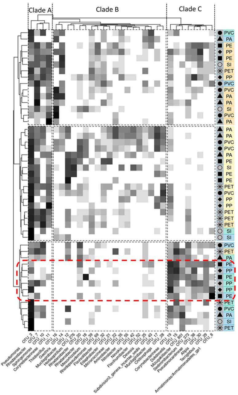 https://cdn.ncbi.nlm.nih.gov/pmc/blobs/c0ee/9506493/d96d51432eb2/microorganisms-10-01775-g002.jpg