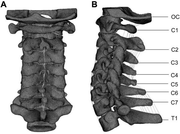 https://cdn.ncbi.nlm.nih.gov/pmc/blobs/c0ef/10027935/5e06205d01ad/fbioe-11-1067049-g001.jpg