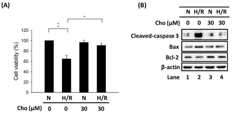 https://cdn.ncbi.nlm.nih.gov/pmc/blobs/c0ef/8467645/a314e0994ee0/biomedicines-09-01283-g001.jpg