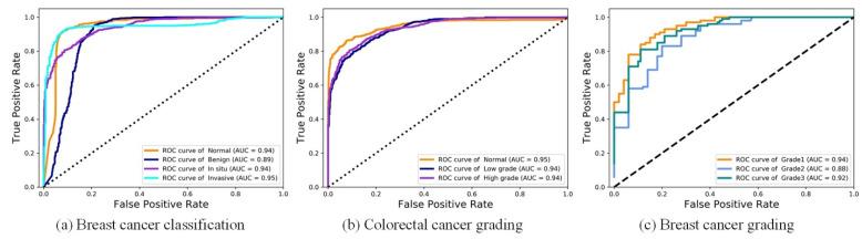 https://cdn.ncbi.nlm.nih.gov/pmc/blobs/c0f0/9311575/330cb4385016/biology-11-00982-g006.jpg