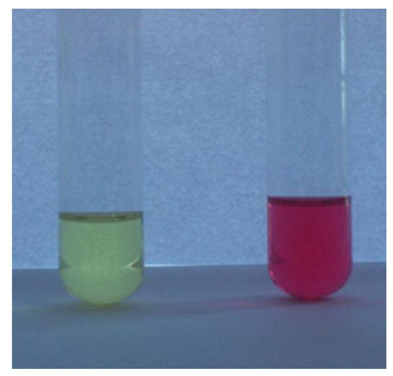 https://cdn.ncbi.nlm.nih.gov/pmc/blobs/c0f1/10145821/d52baf05a3a2/molecules-28-03631-g003.jpg