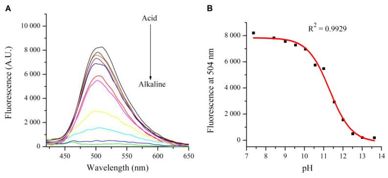 https://cdn.ncbi.nlm.nih.gov/pmc/blobs/c0f1/10145821/dd61672b35ac/molecules-28-03631-g005.jpg