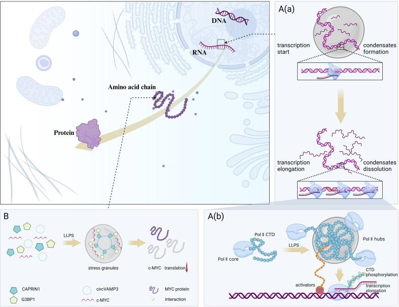 https://cdn.ncbi.nlm.nih.gov/pmc/blobs/c0f3/12240780/b0f8e7d0f791/fimmu-16-1604015-g002.jpg