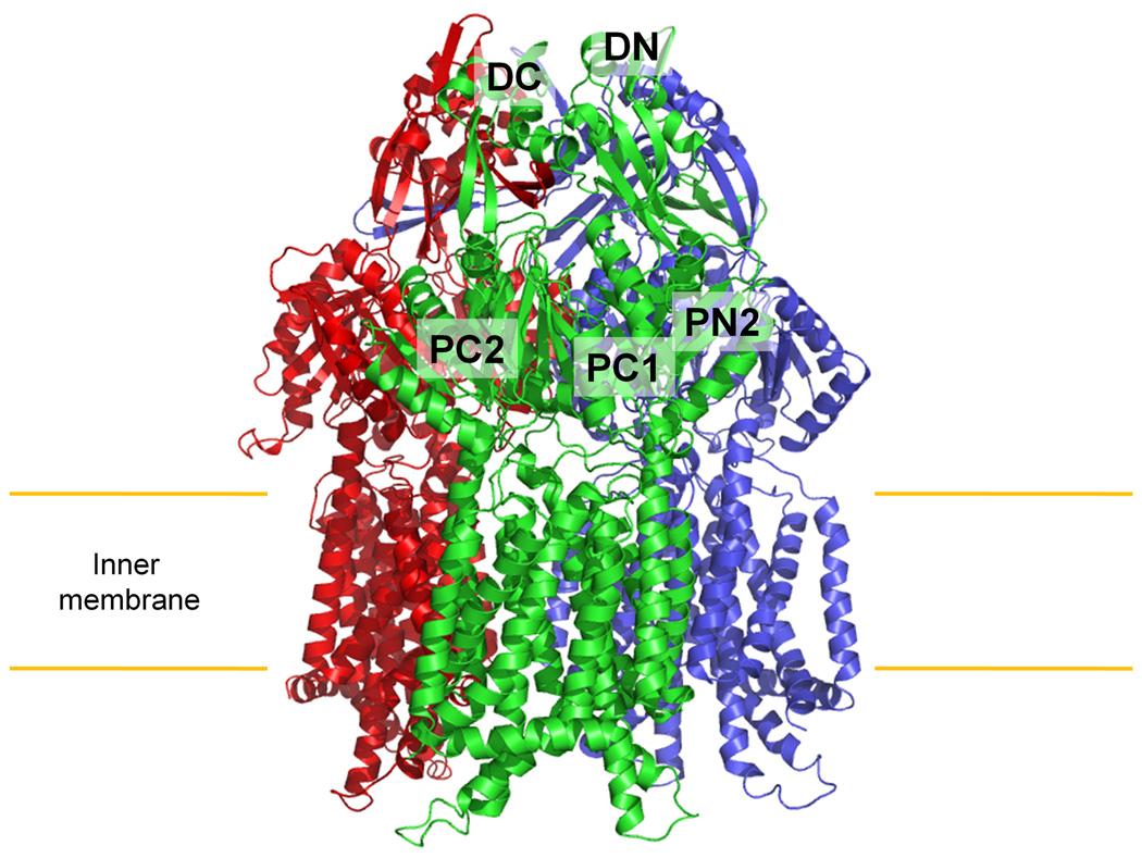 https://cdn.ncbi.nlm.nih.gov/pmc/blobs/c0f4/2946090/ea41e9fa411c/nihms227122f1a.jpg