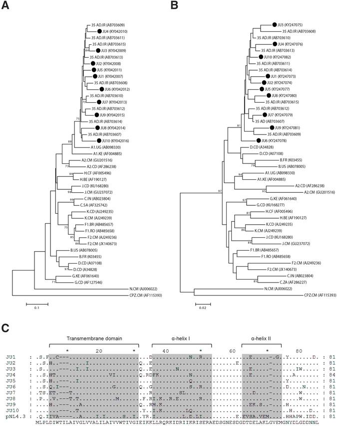 https://cdn.ncbi.nlm.nih.gov/pmc/blobs/c0f4/5428049/1b6d437f8813/41598_2017_222_Fig1_HTML.jpg