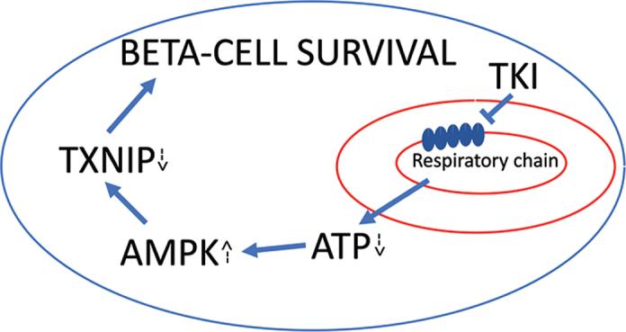 https://cdn.ncbi.nlm.nih.gov/pmc/blobs/c0f4/9487420/c9f55b570dbf/UJMS-127-8841-g001.jpg