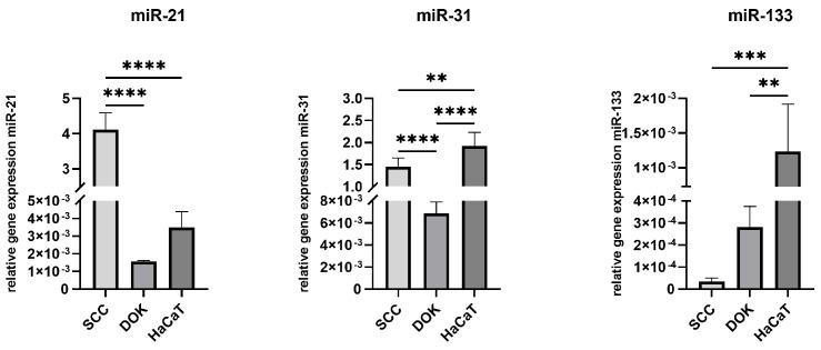 https://cdn.ncbi.nlm.nih.gov/pmc/blobs/c0f5/12293655/62cce5cef695/cimb-47-00568-g004.jpg