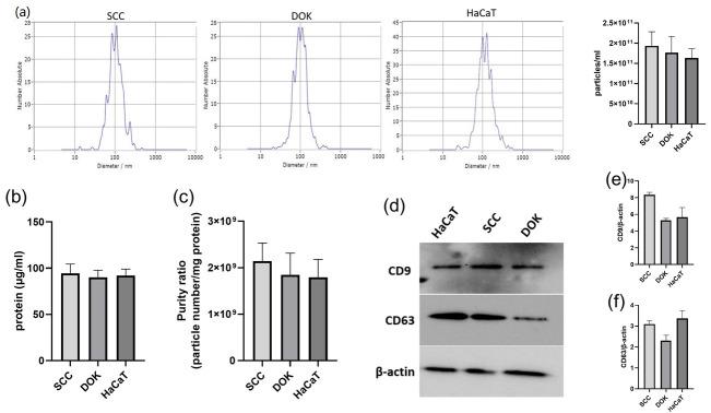 https://cdn.ncbi.nlm.nih.gov/pmc/blobs/c0f5/12293655/b9cc334f6f5e/cimb-47-00568-g003.jpg