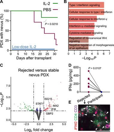 https://cdn.ncbi.nlm.nih.gov/pmc/blobs/c0f5/8221625/22c61c1f0419/abg4498-F4.jpg