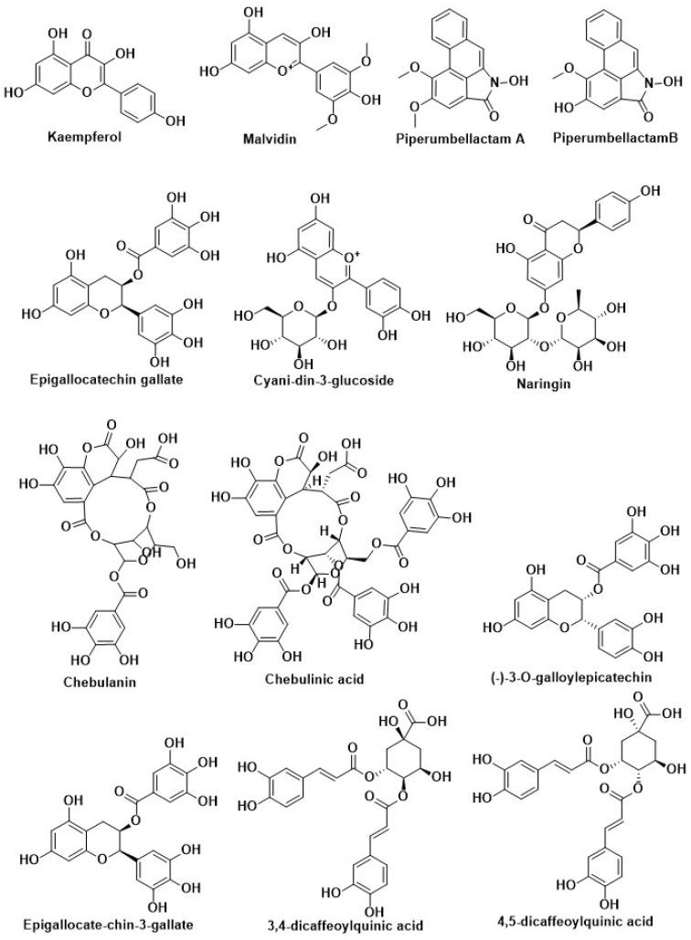 https://cdn.ncbi.nlm.nih.gov/pmc/blobs/c0f5/8911649/063d3f0fe930/molecules-27-01713-g005a.jpg