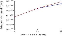 https://cdn.ncbi.nlm.nih.gov/pmc/blobs/c0fa/9082513/0daf9dac74de/BIT-119-1839-g002.jpg