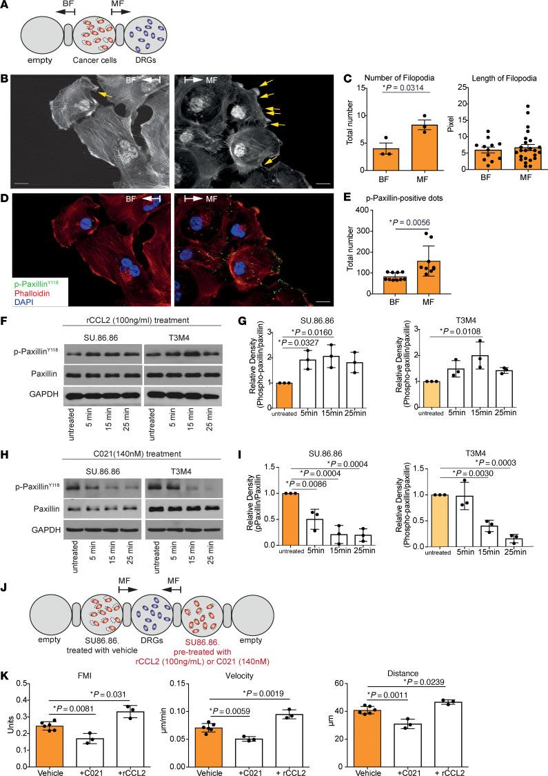 https://cdn.ncbi.nlm.nih.gov/pmc/blobs/c0fc/10617783/2796f8be1816/jci-133-166333-g003.jpg