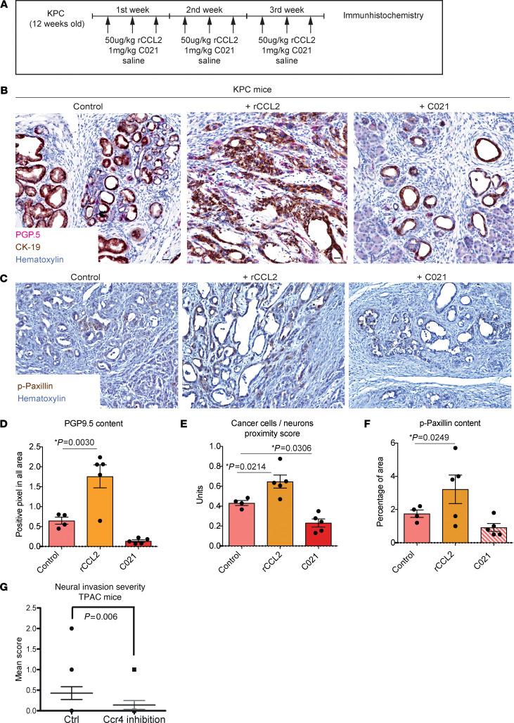 https://cdn.ncbi.nlm.nih.gov/pmc/blobs/c0fc/10617783/43c4cd326f52/jci-133-166333-g005.jpg