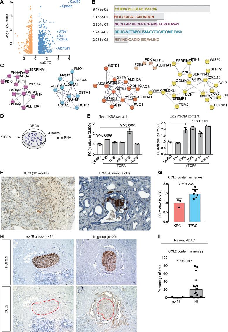 https://cdn.ncbi.nlm.nih.gov/pmc/blobs/c0fc/10617783/b4ff4c191989/jci-133-166333-g002.jpg