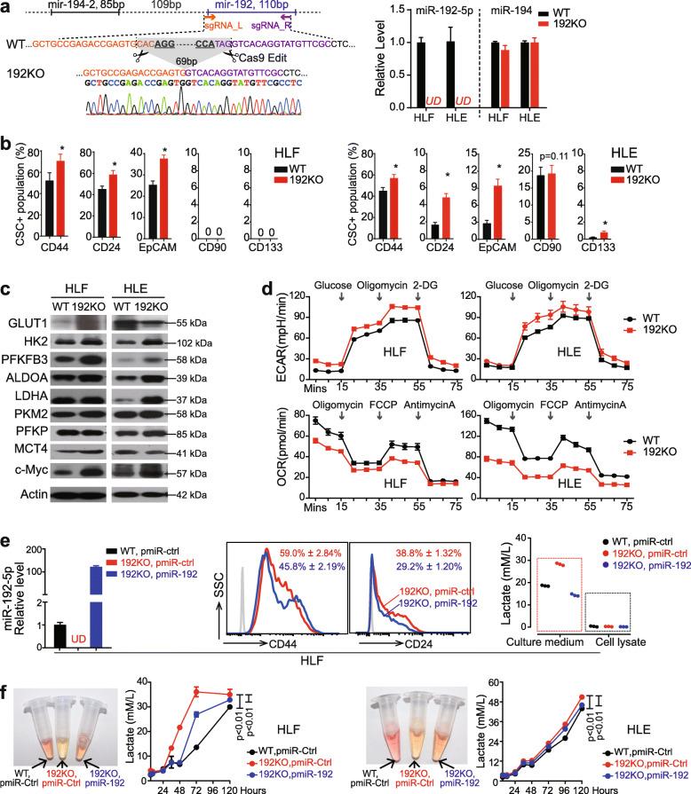 https://cdn.ncbi.nlm.nih.gov/pmc/blobs/c0fc/7708108/faf6ceb28714/13046_2020_1785_Fig2_HTML.jpg
