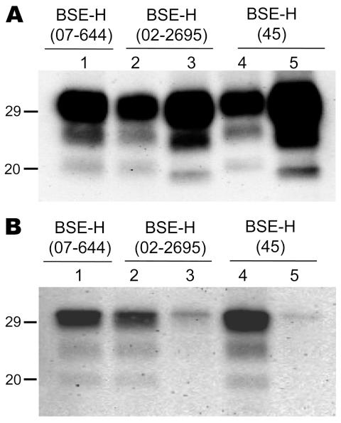 https://cdn.ncbi.nlm.nih.gov/pmc/blobs/c101/3322056/6e02dd3f80bc/10-1403-F3.jpg