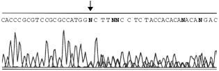 https://cdn.ncbi.nlm.nih.gov/pmc/blobs/c103/2746598/baf17058dc1c/86-6600269f2.jpg