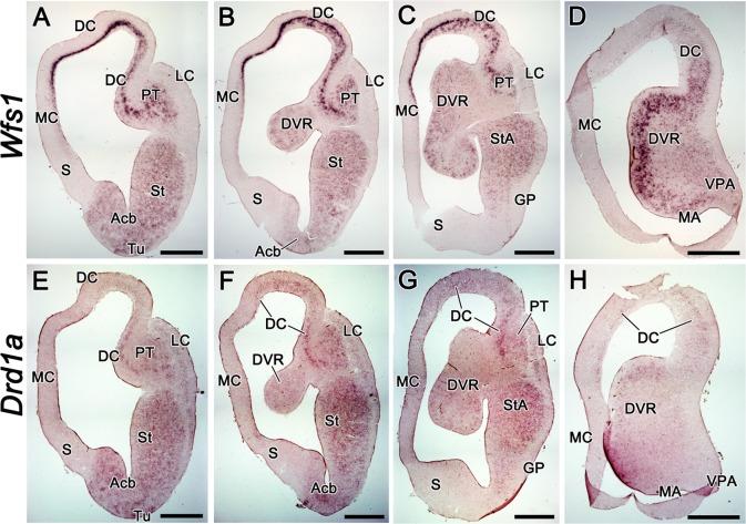 https://cdn.ncbi.nlm.nih.gov/pmc/blobs/c103/5436468/4f4dff8f3ecf/pone.0172825.g007.jpg