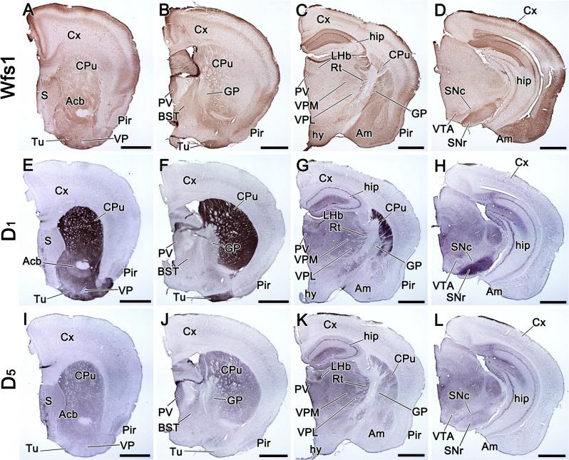 https://cdn.ncbi.nlm.nih.gov/pmc/blobs/c103/5436468/7189f858b908/pone.0172825.g003.jpg