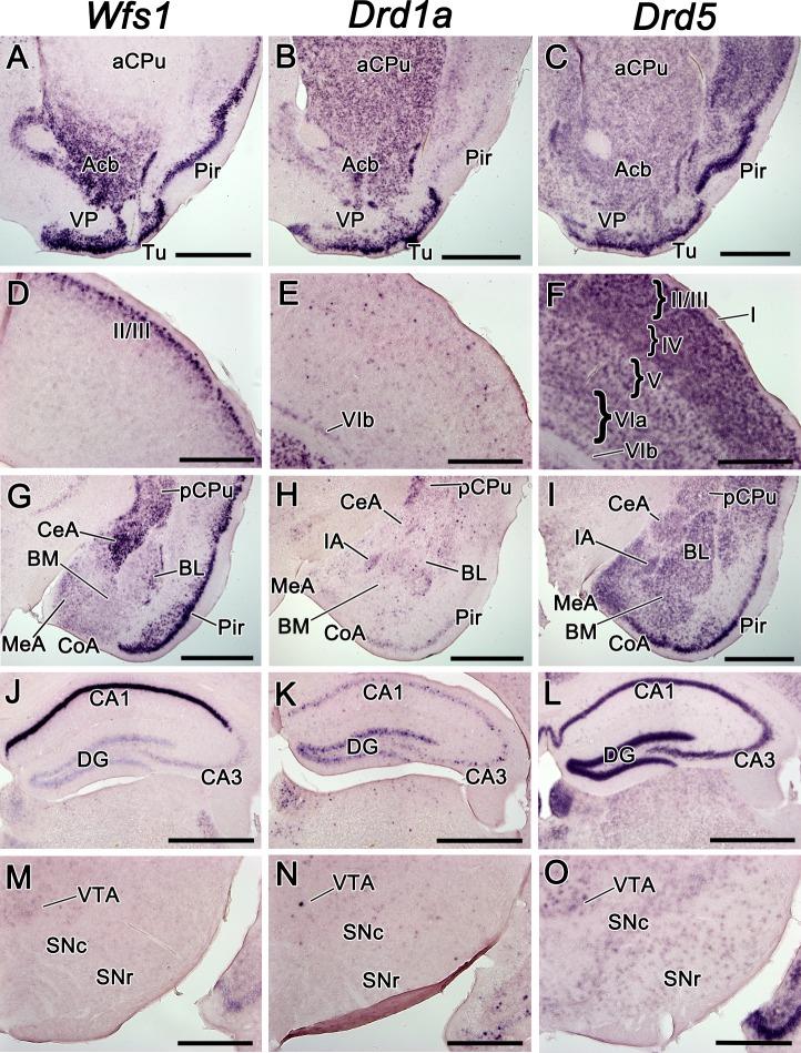 https://cdn.ncbi.nlm.nih.gov/pmc/blobs/c103/5436468/f199bf0e305c/pone.0172825.g001.jpg