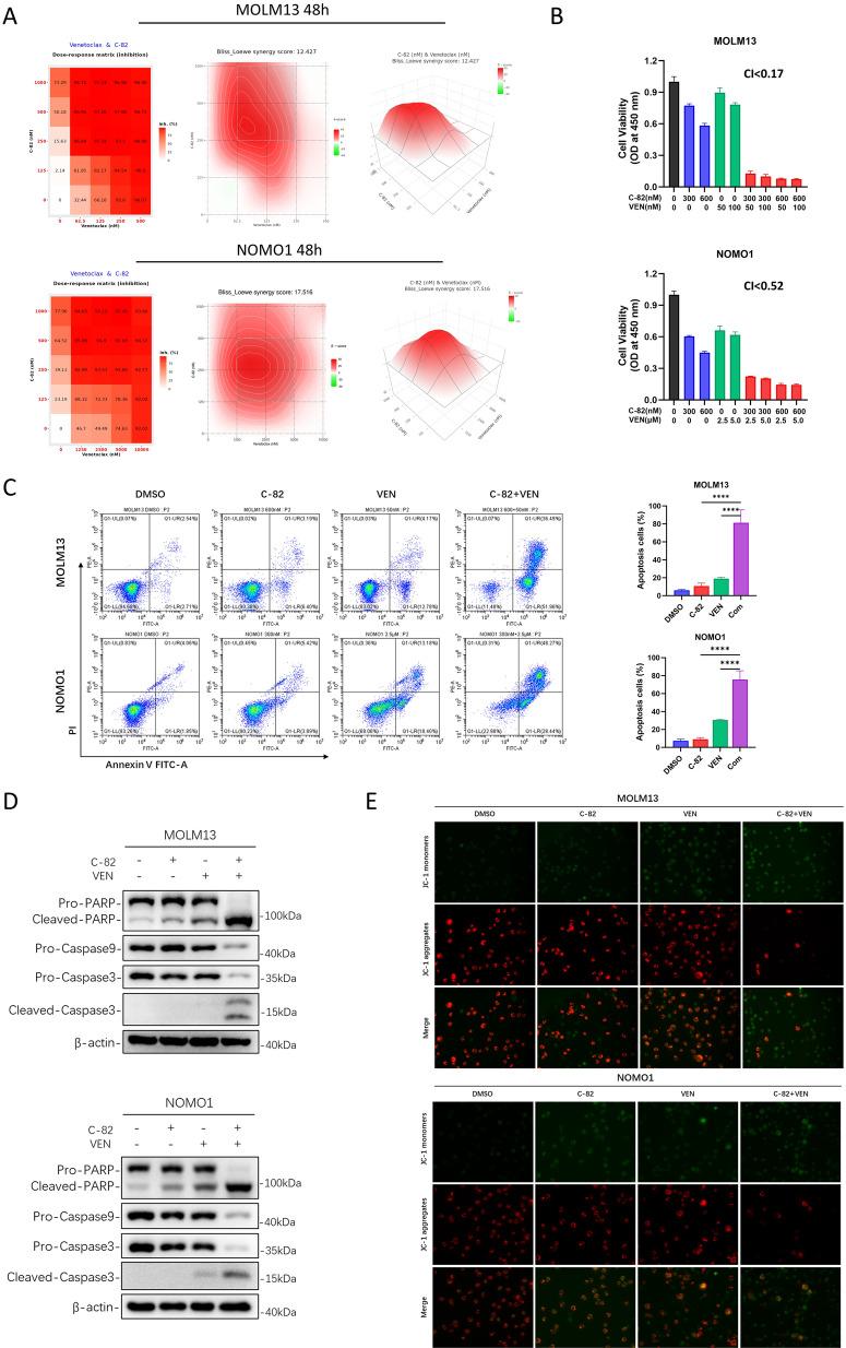 https://cdn.ncbi.nlm.nih.gov/pmc/blobs/c107/12121061/d8c73d2d1b03/12935_2025_3825_Fig3_HTML.jpg
