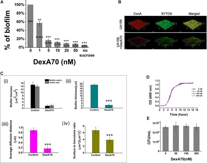 https://cdn.ncbi.nlm.nih.gov/pmc/blobs/c10a/8505985/7a66087a89ca/fmicb-12-737458-g003.jpg