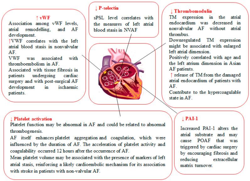 https://cdn.ncbi.nlm.nih.gov/pmc/blobs/c10b/10887311/4655df8916a5/biomedicines-12-00274-g001.jpg