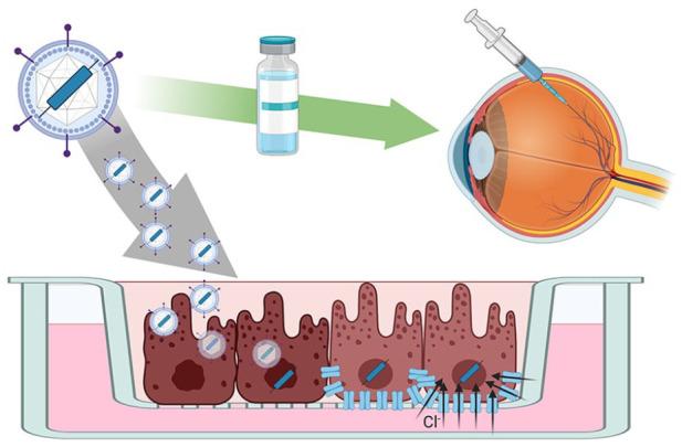 https://cdn.ncbi.nlm.nih.gov/pmc/blobs/c10f/7934022/60a997641d34/10.1177_2515841421997191-fig6.jpg