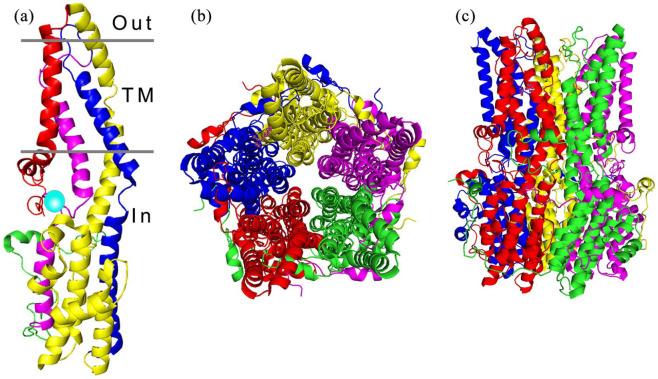 https://cdn.ncbi.nlm.nih.gov/pmc/blobs/c10f/7934022/92589bb71d70/10.1177_2515841421997191-fig2.jpg