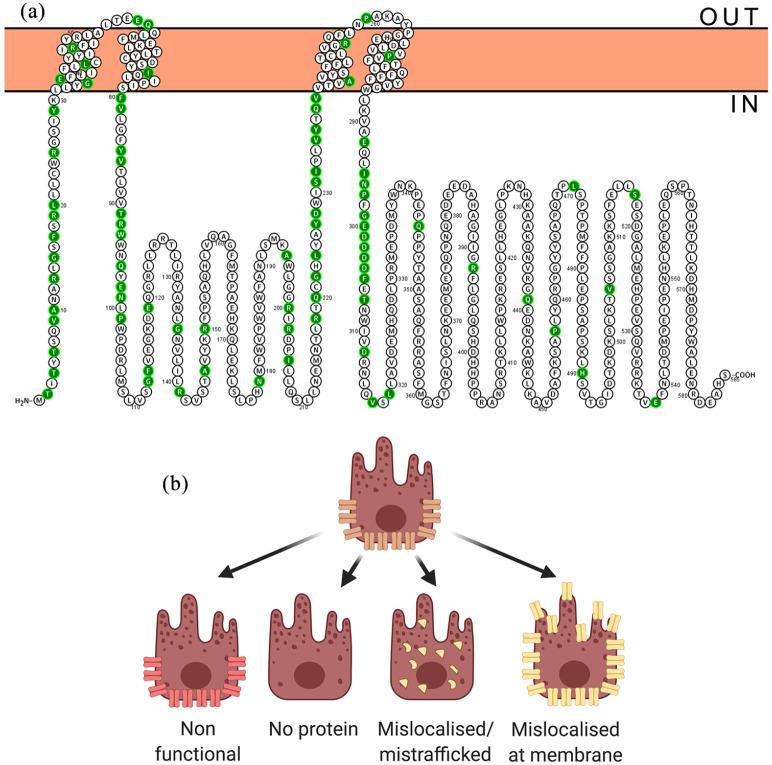 https://cdn.ncbi.nlm.nih.gov/pmc/blobs/c10f/7934022/d71daa9b5eb3/10.1177_2515841421997191-fig3.jpg