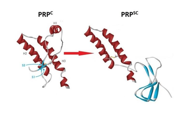 https://cdn.ncbi.nlm.nih.gov/pmc/blobs/c110/11322851/bac02dad4a3f/cureus-0016-00000064548-i02.jpg