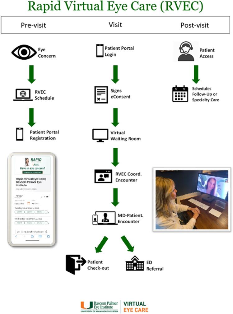 https://cdn.ncbi.nlm.nih.gov/pmc/blobs/c114/9883823/65a61cfb3ecd/40135_2023_308_Fig2_HTML.jpg