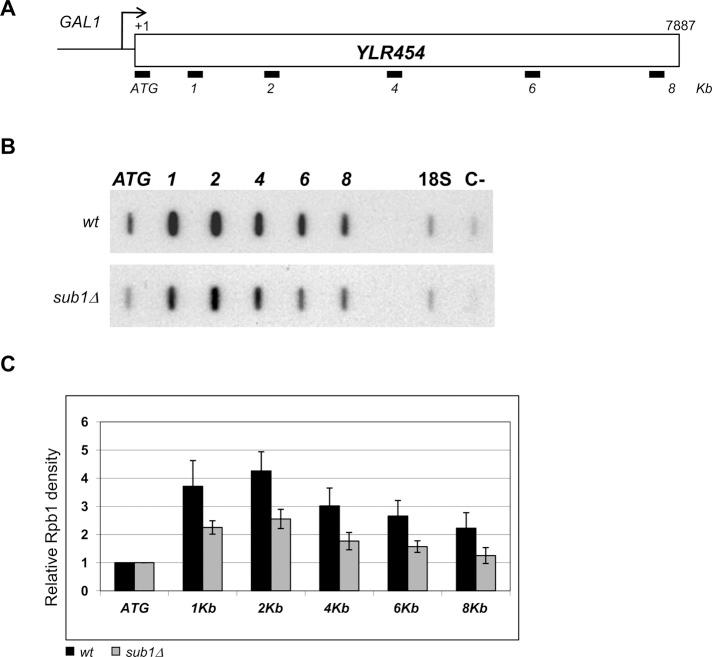 https://cdn.ncbi.nlm.nih.gov/pmc/blobs/c119/3484106/fedd88e6aba9/4297fig4.jpg