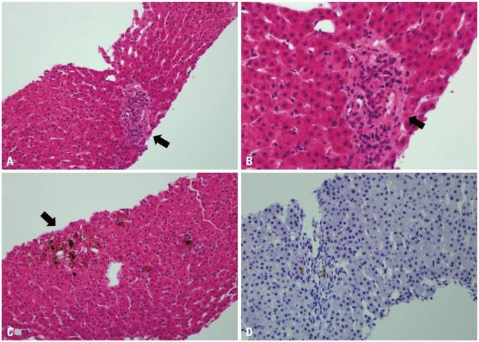 https://cdn.ncbi.nlm.nih.gov/pmc/blobs/c119/3990079/f61f8f53d68c/ymj-55-834-g001.jpg