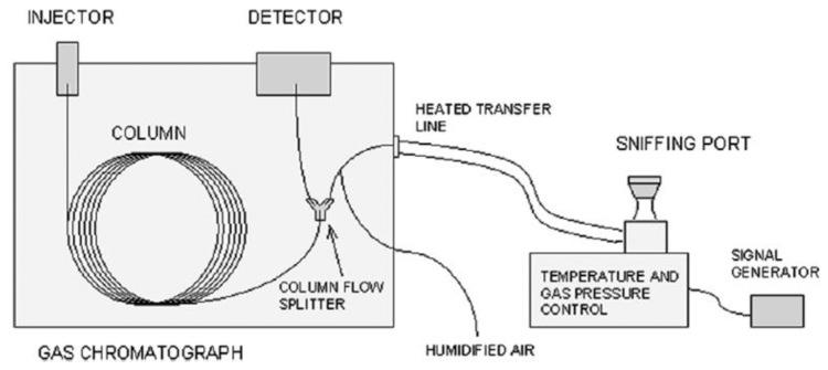 https://cdn.ncbi.nlm.nih.gov/pmc/blobs/c11b/3892869/c829ce6f89a5/sensors-13-16759f1.jpg